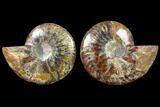 Cut/Polished Ammonite Pair - Agatized #79144-1